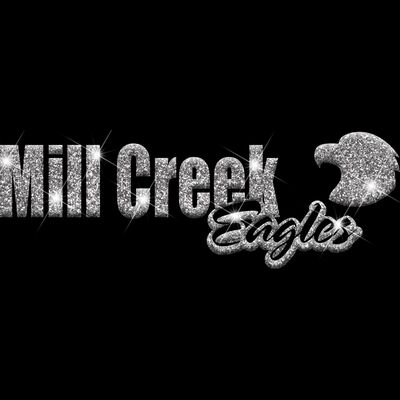 GLT1 SILVER GLITTER Thumbnail